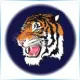 Paul Quinn College - Journalism School Ranking