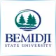 Bemidji State University - Journalism School Ranking