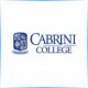 Cabrini University - Journalism School Ranking
