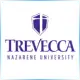 Trevecca Nazarene University - Journalism School Ranking