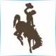 University of Wyoming - Journalism School Ranking